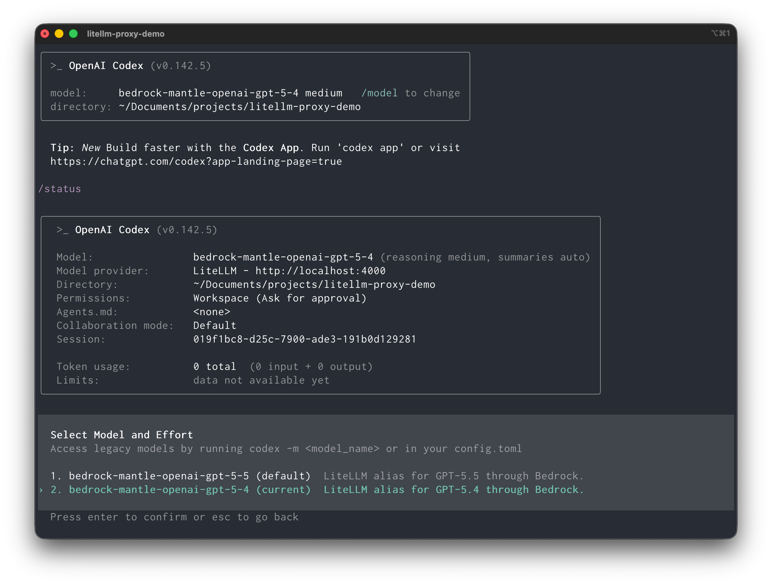 Using OpenAI Codex CLI with LiteLLM and Amazon Bedrock Mantle | by