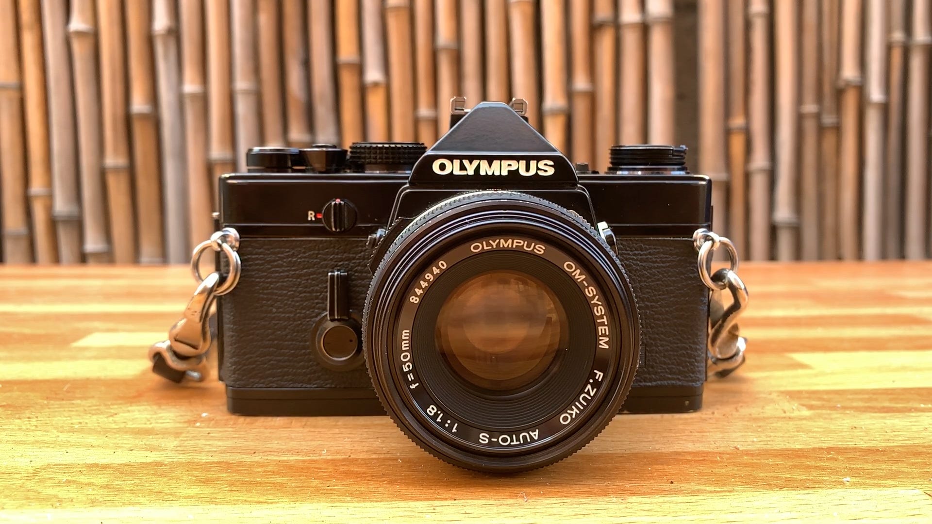 The Olympus OM-1. An underrated tiny giant | by Talya Adams | The