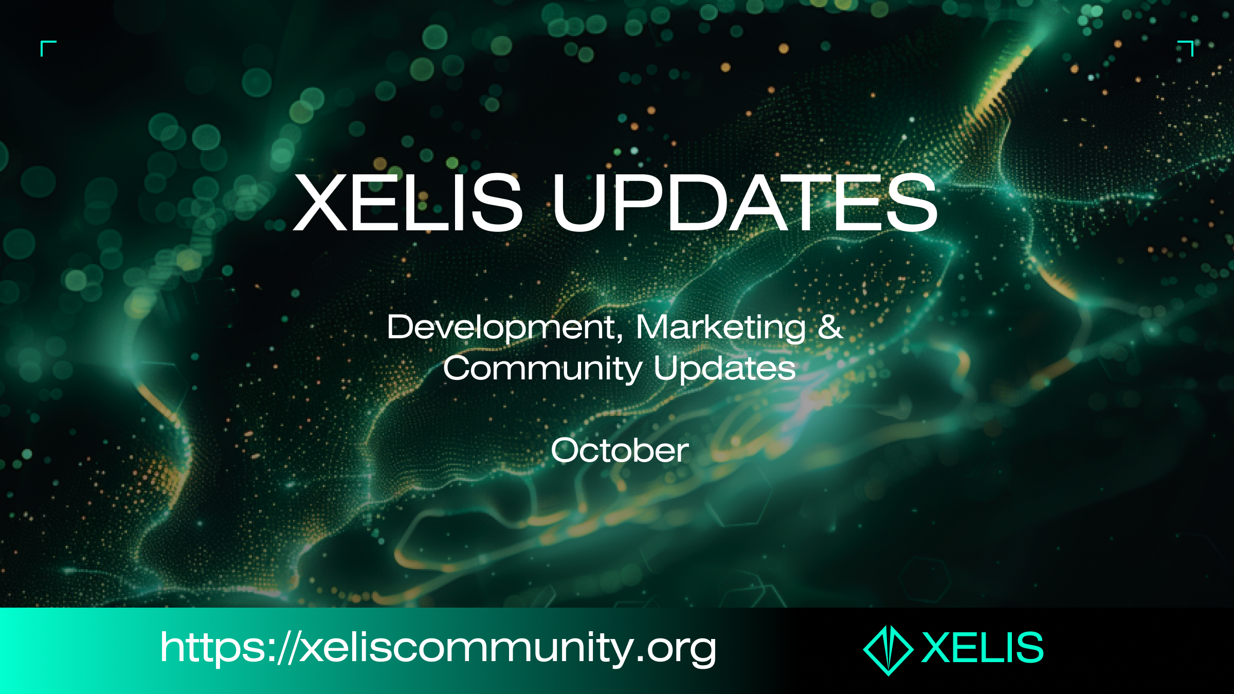 Xelite Pulse | October Edition (Episode 7) | by Xelis Currency | Medium