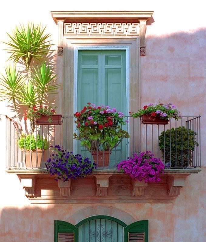 How to Choose Perfect Plants for Your Juliet Balcony | by Barbulianno  Design | Medium