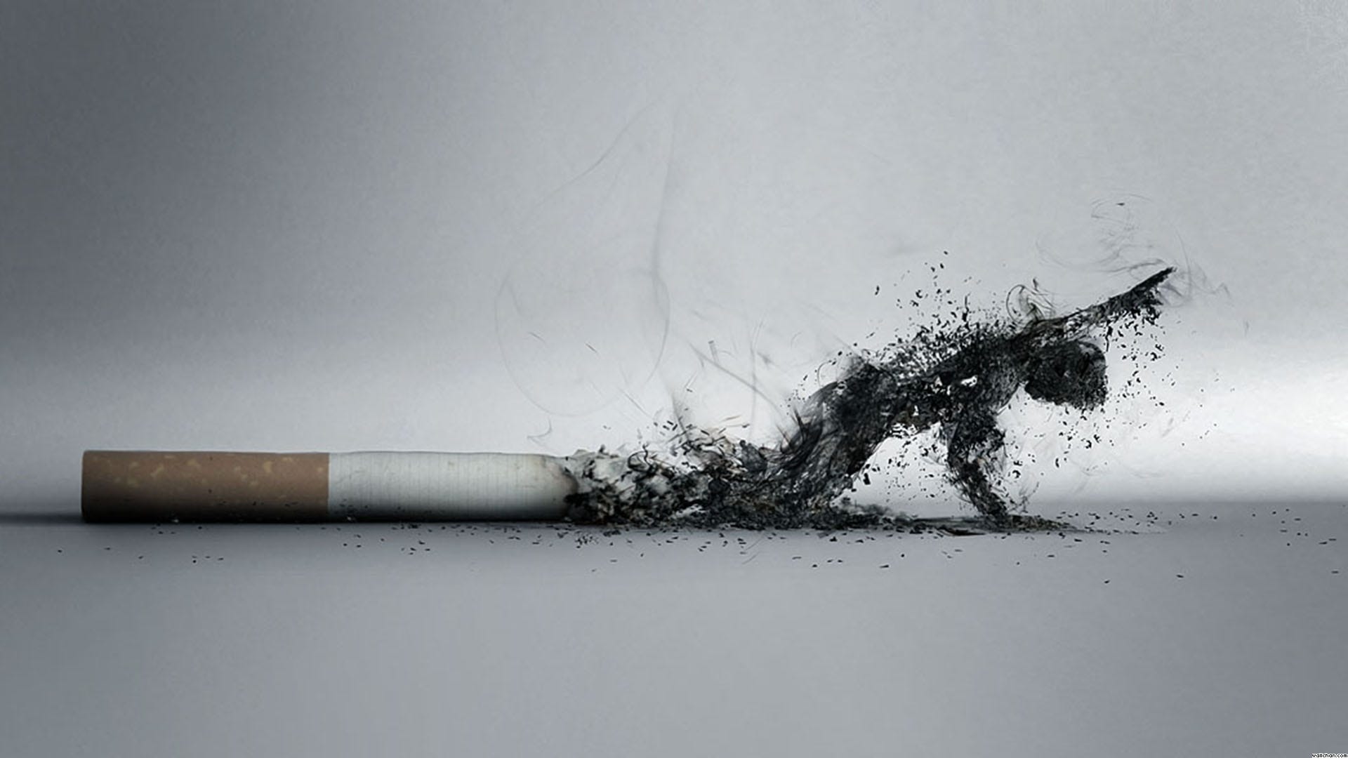 i hate cigarette smoke smoking cigarettes - song and lyrics by Danny Headson Tobacco Allergy: Can You Be