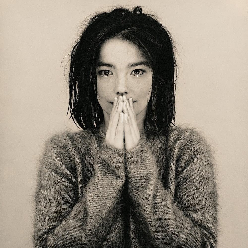 P'S FACTORY volume01special issue:BJÖRK P´S FACTORY volume01special issue:BJÖRK