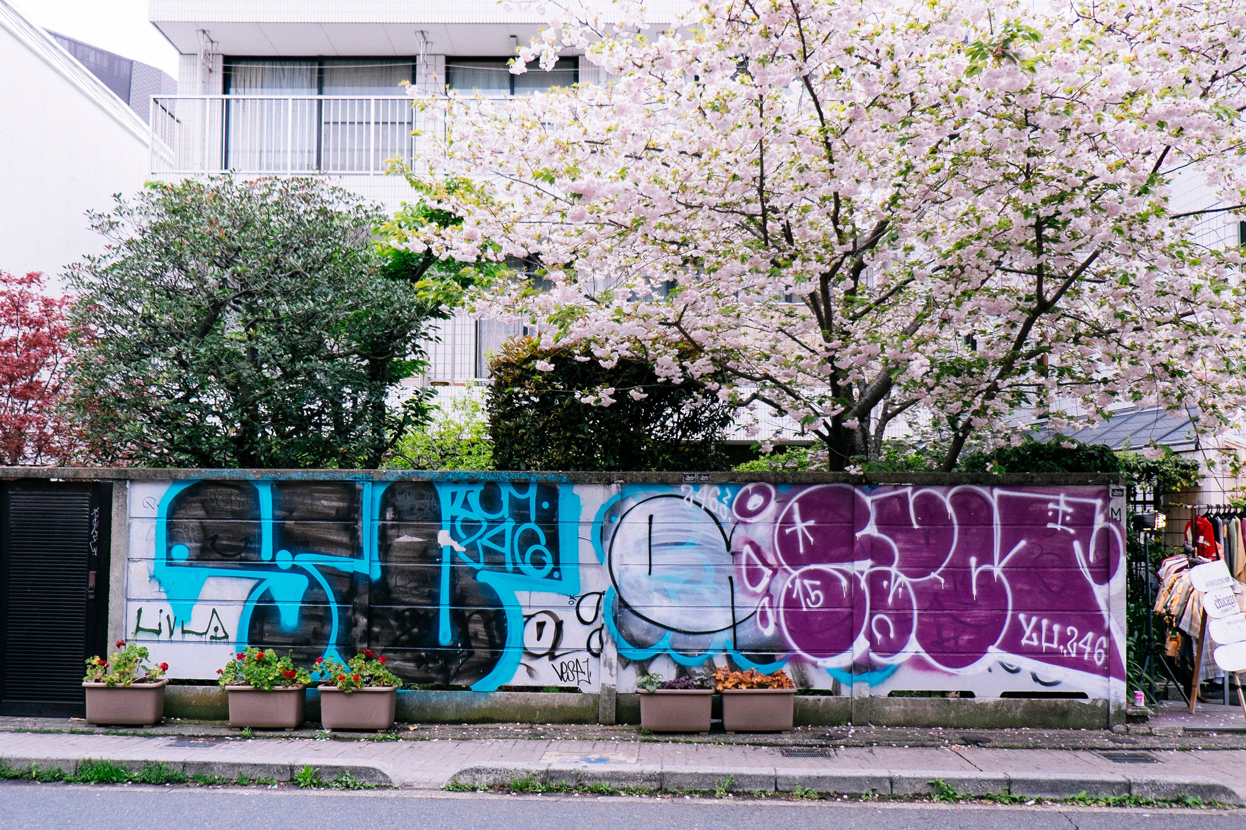 Graffiti in Japan. Wanto, MQ, Tom, Blake, Rust, 246 crew… | by RaT
