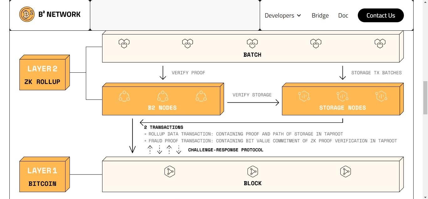 UNDERSTANDING THE ENTIRETY OF B2 NETWORK . | by Bhig_Harms | Medium