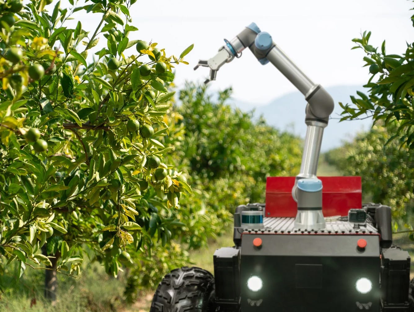 Harvesting Tomorrow: The Rise of Fruit-Picking Robots | by Fábio Ferreira |  Coinmonks | Medium