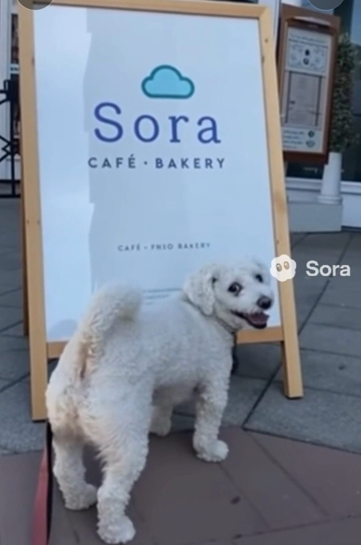 ドッグフード sora デイリープロ アダルトミニ ベニソン（小粒） FRZAZA21-00