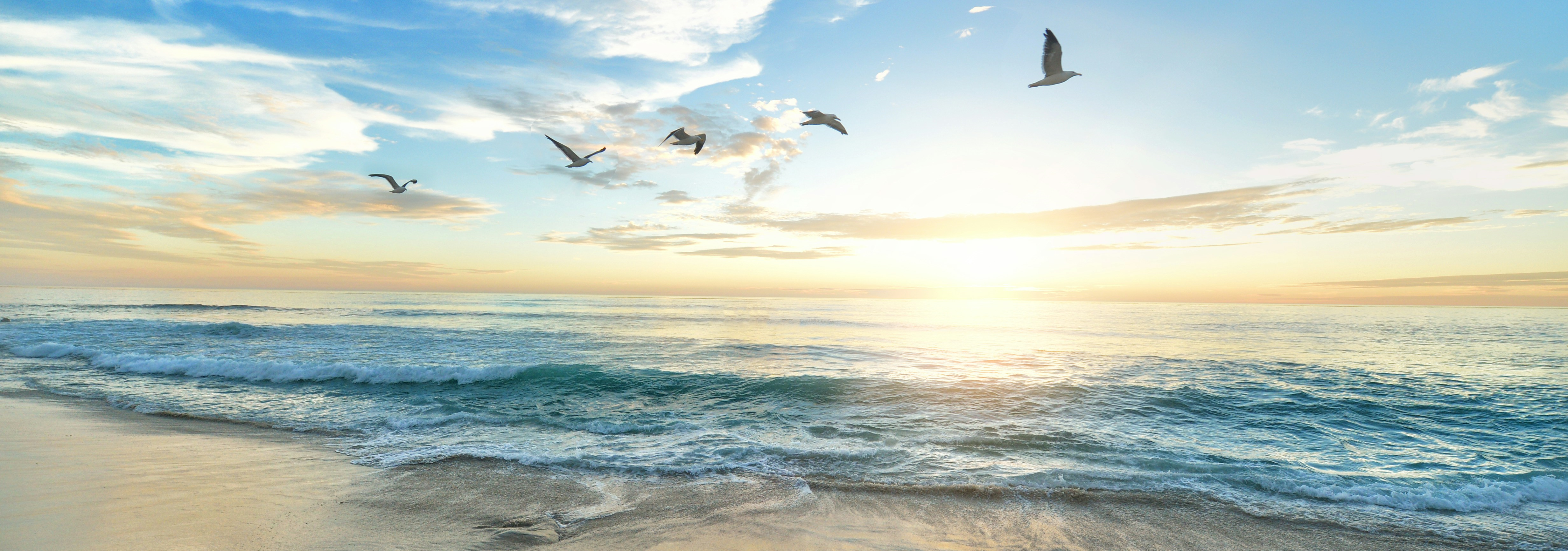 Deep Reinforcement Learning for Crypto Trading | by Alex K | Coinmonks |  Medium