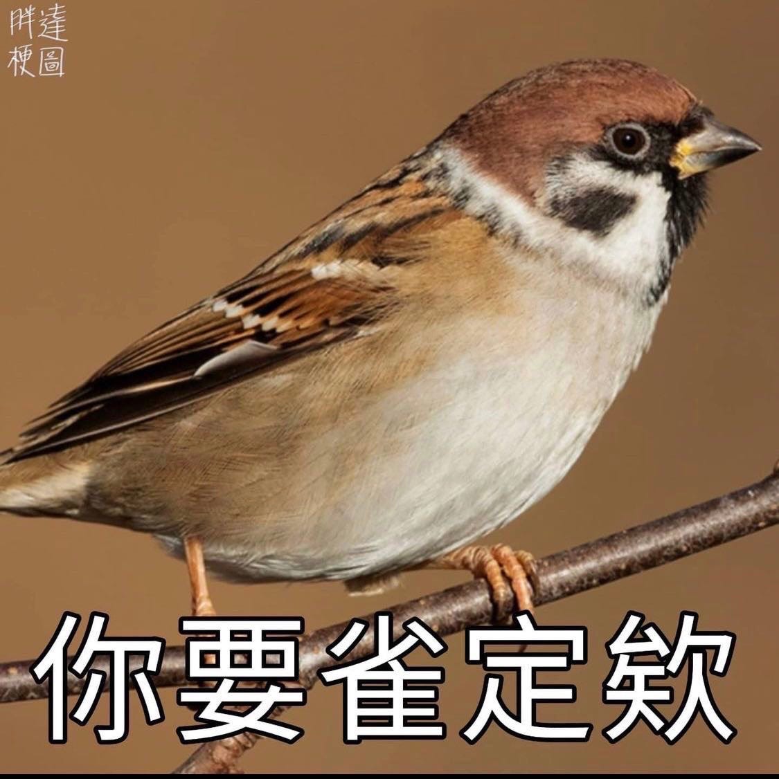 交易員的工作分享- Jimmy Wang - Medium