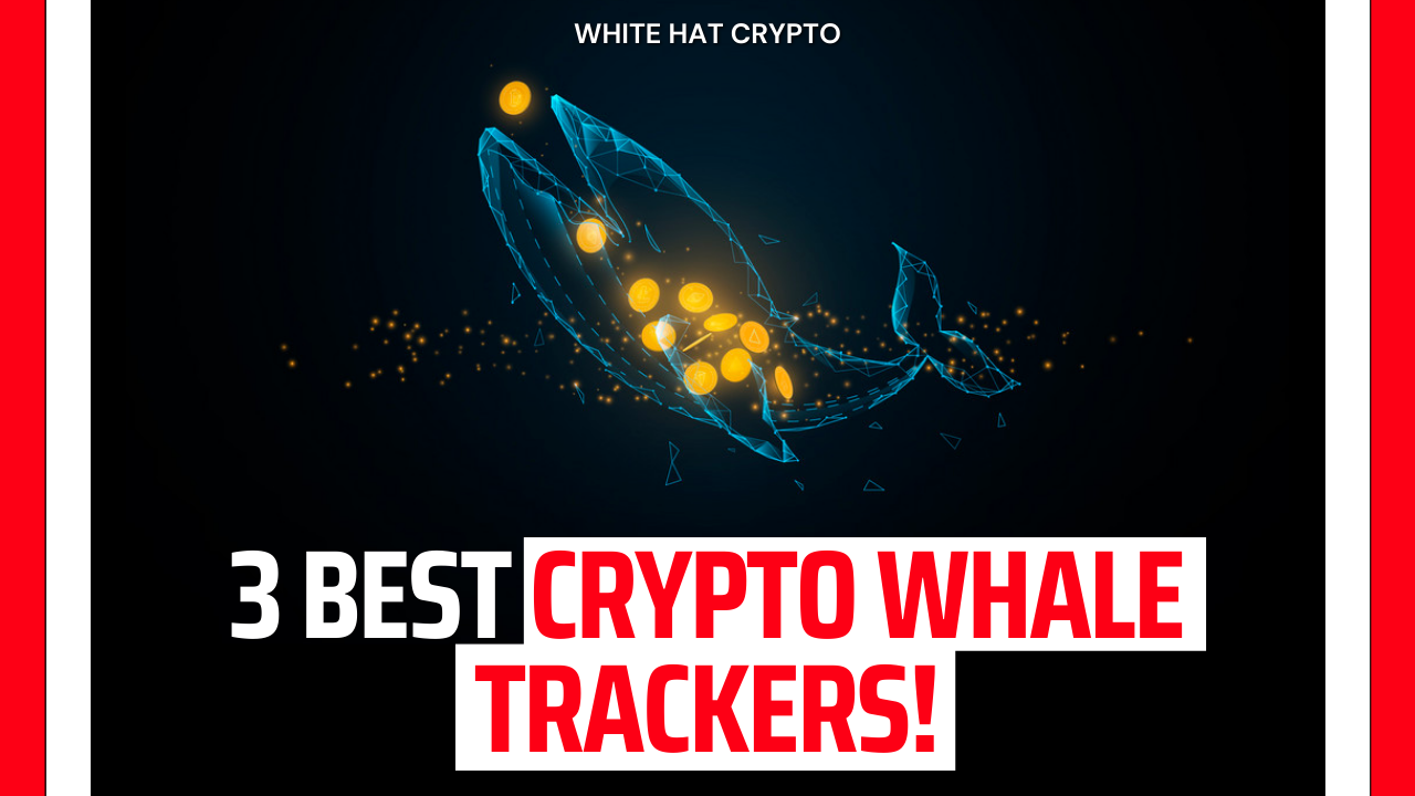 3 Best Crypto Whale Trackers!. You must use whale trackers to… | by White  Hat Crypto | Medium