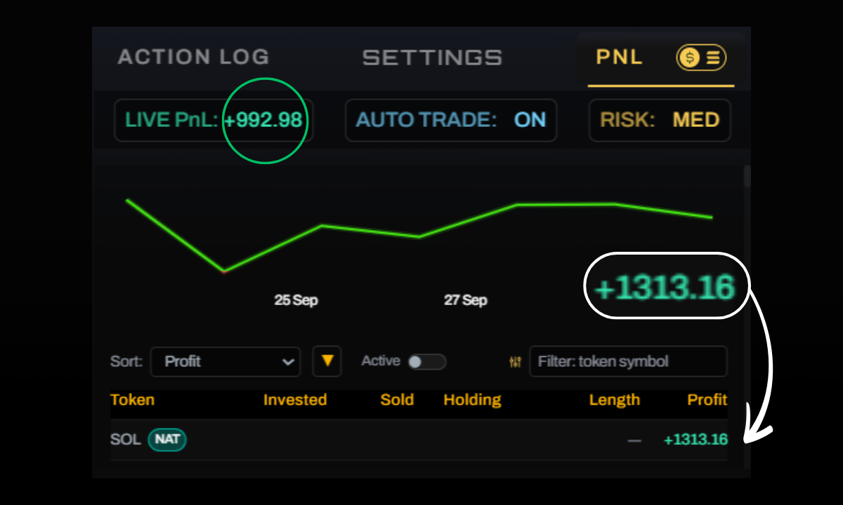 This Solana AI Made me $1313 From a $350 Investment | by Crypto Shahar |  The Capital | Medium