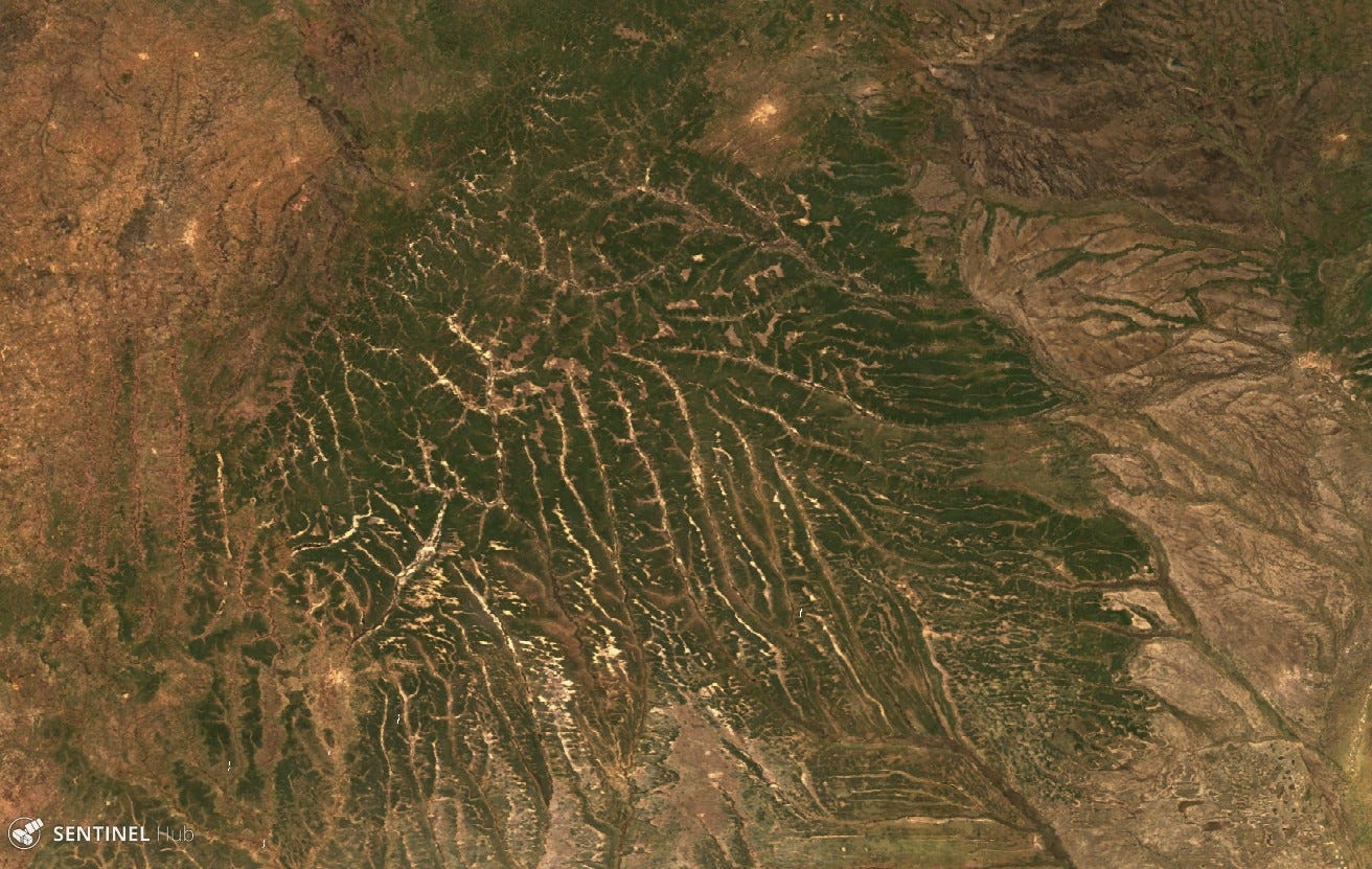 Modis Orbit Example Modis Orbit LANCE: MODIS Near Real Time Data Earthdata Forum