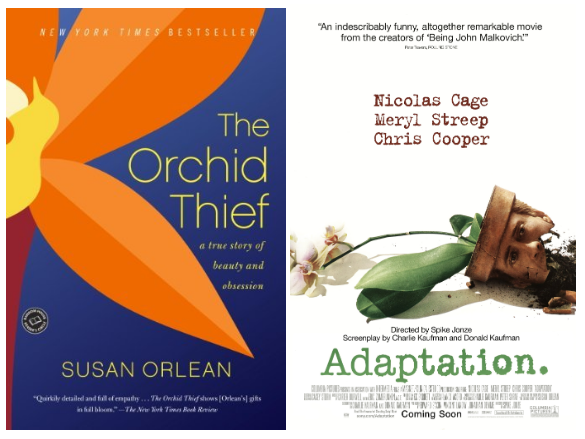 Adaptation A Review in Two Parts by Adaptation