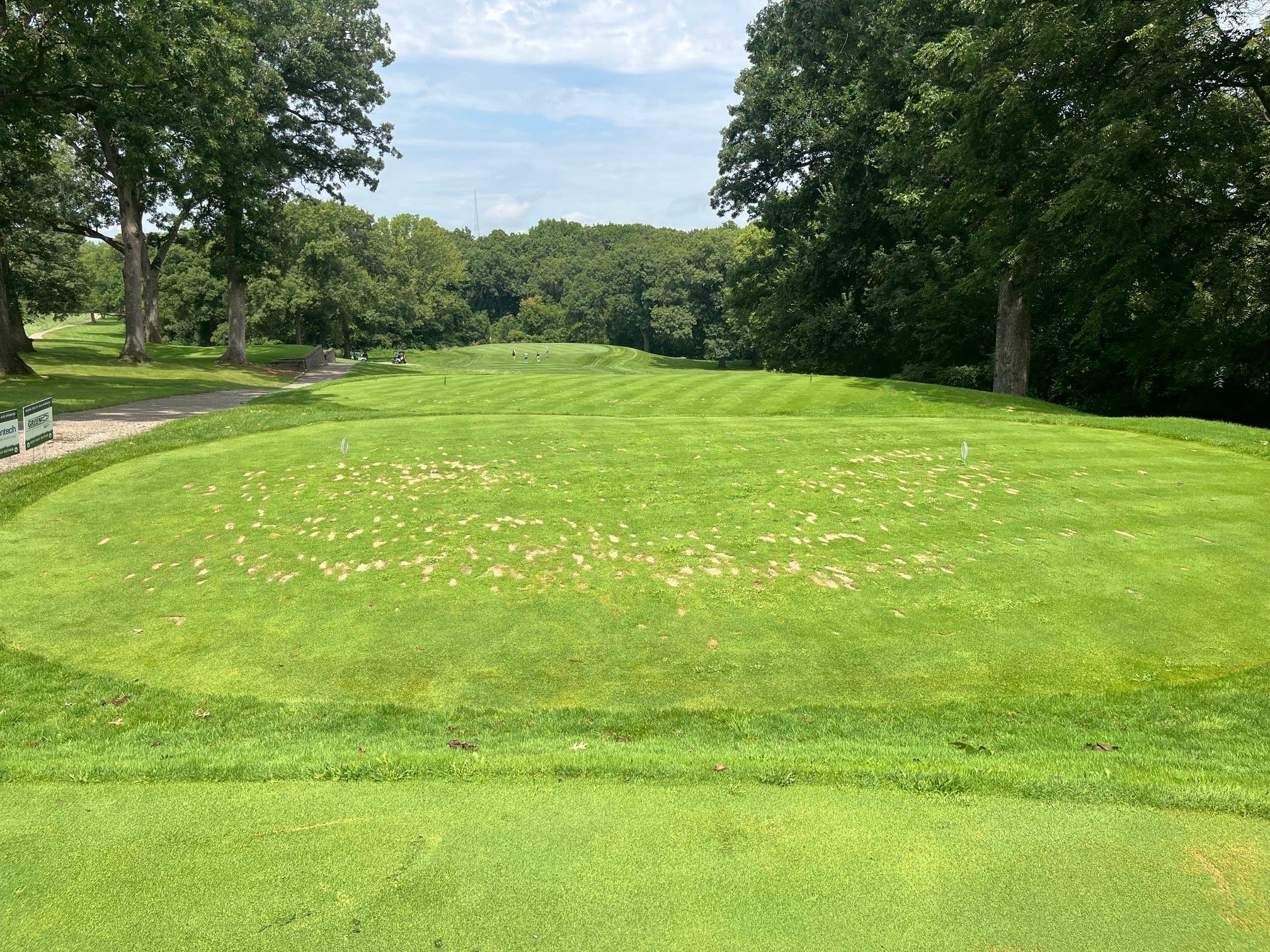 August Rain! Poa Trivialis, Pythium Blight, Summer Patch and Selective  Herbicide Research | by CDGATurfgrassProgram | Medium