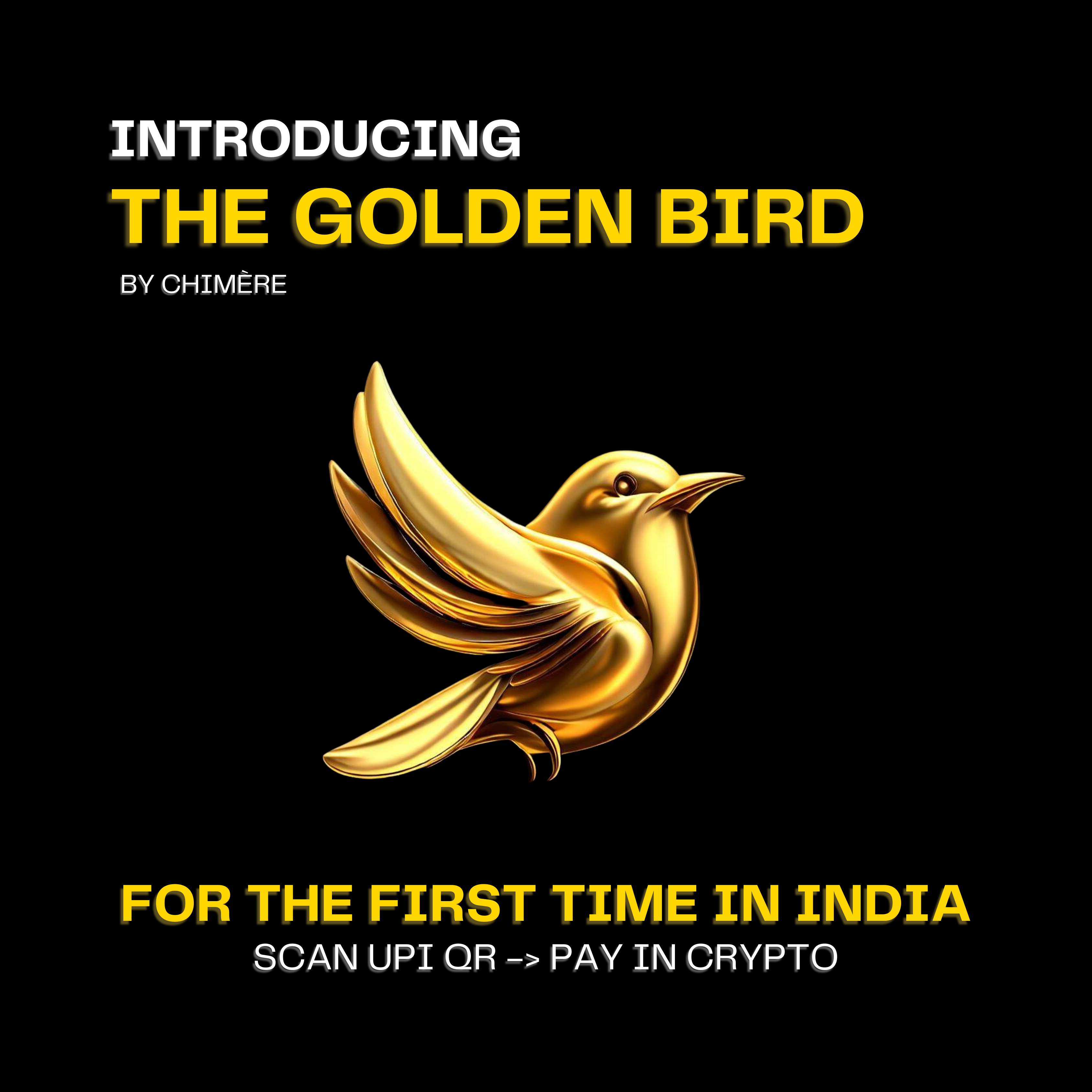 The Golden Bird: User Guide. UPI 🤝 Crypto | by Chimère | Medium