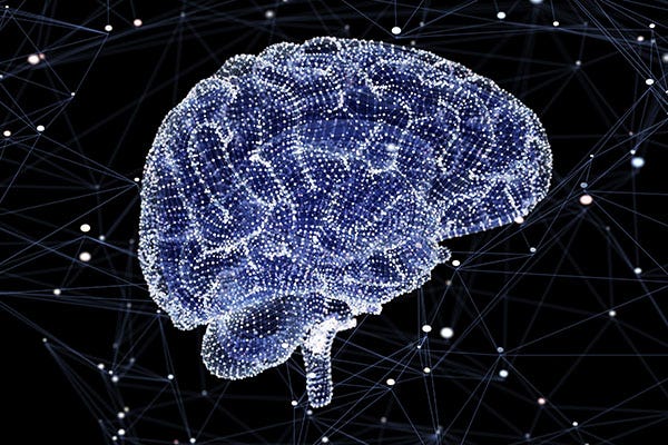 Modeling the Thousand Brains Theory of Intelligence | by Joy
