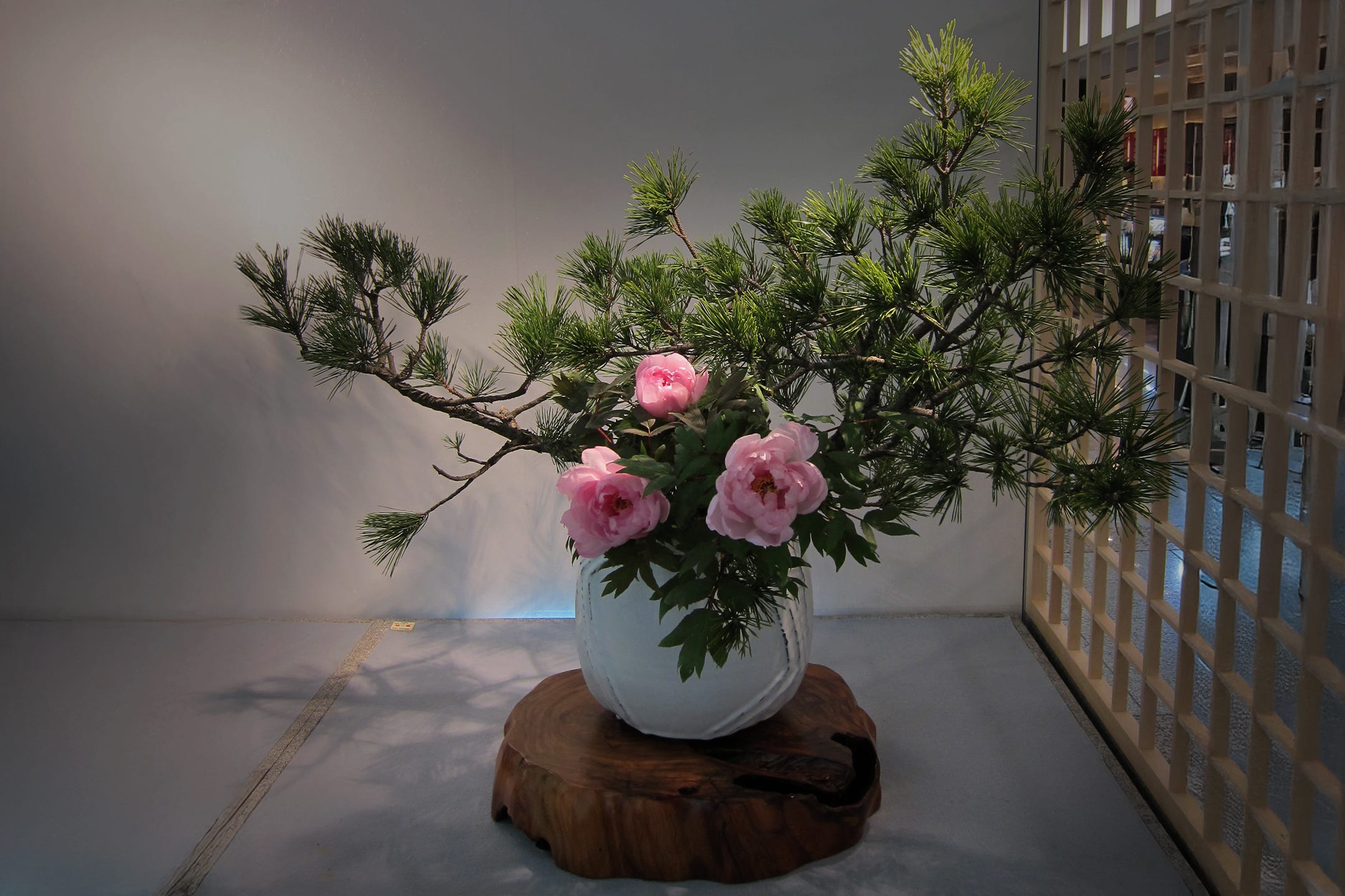 Blooming in Silence: A Journey through Ikebana's Living Craft | by