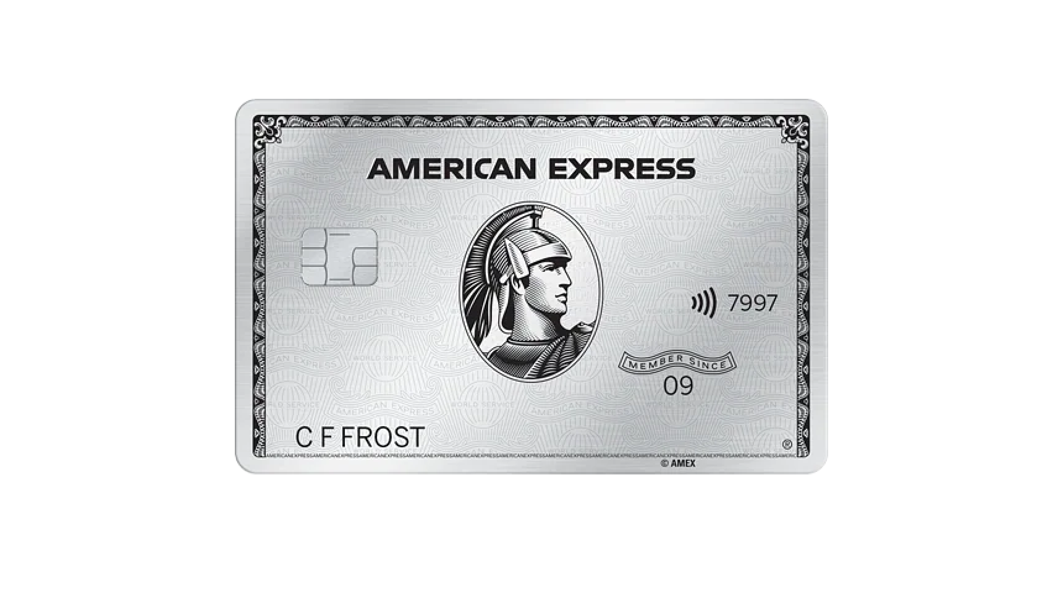 American ExpressPlatinum Card ネームタグ New American Express Platinum card holders limited Luggage