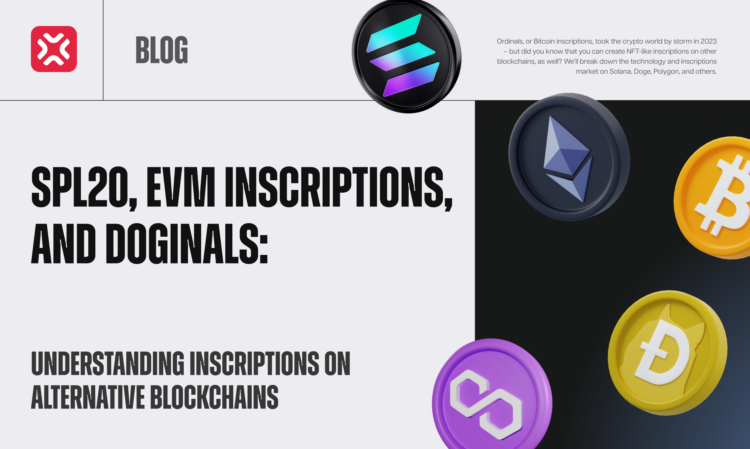 SPL20, EVM inscriptions, and Doginals: understanding inscriptions on  alternative blockchains | by XP.NETWORK | XP.NETWORK | Medium