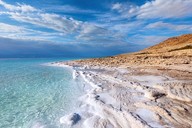 Biblical Prophecy Unfolding: The Dead Sea Comes to Life | by Just Joe |  Medium
