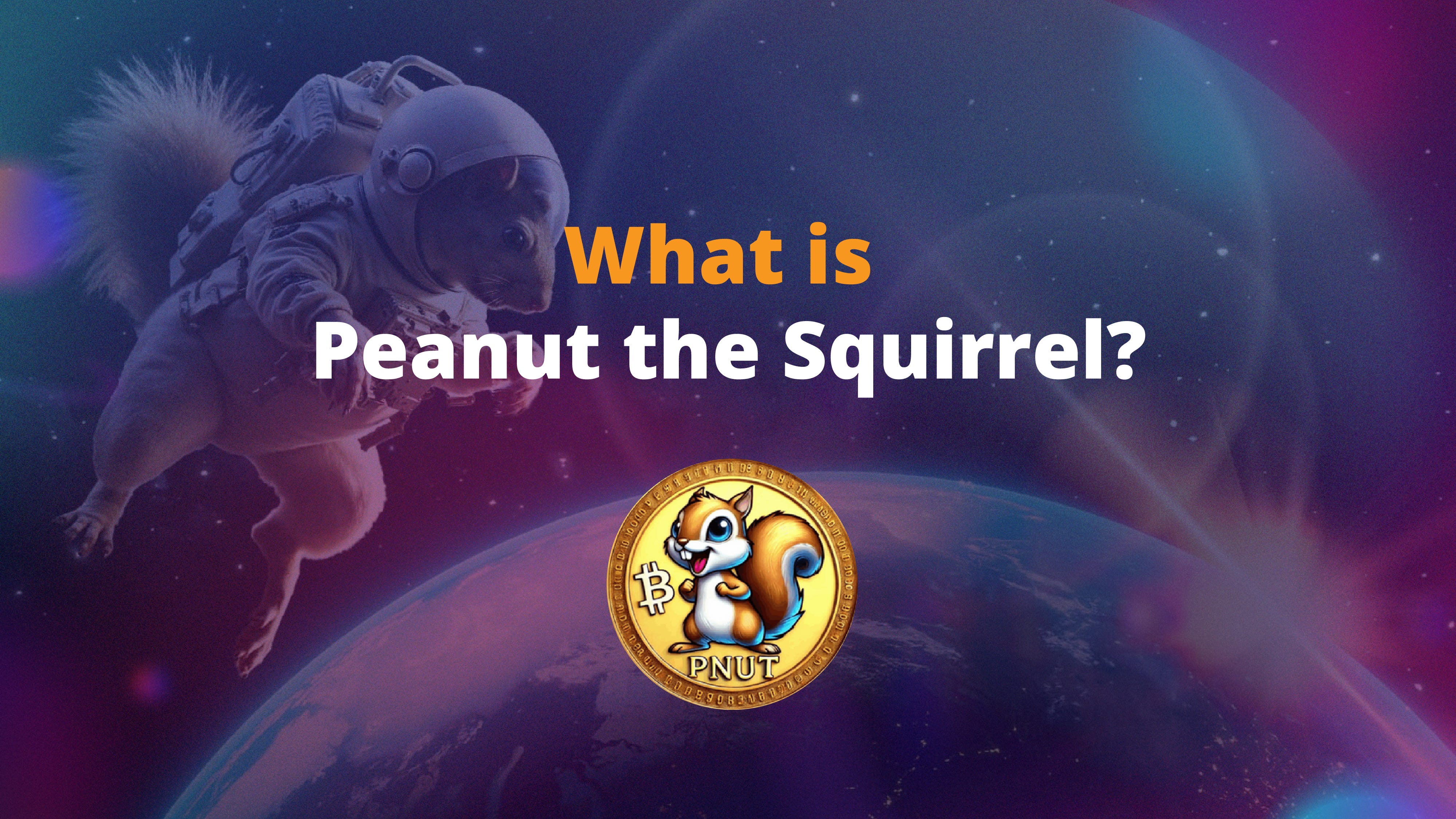 What is Peanut the Squirrel? $PNUT | by Slobodzeanb | Medium