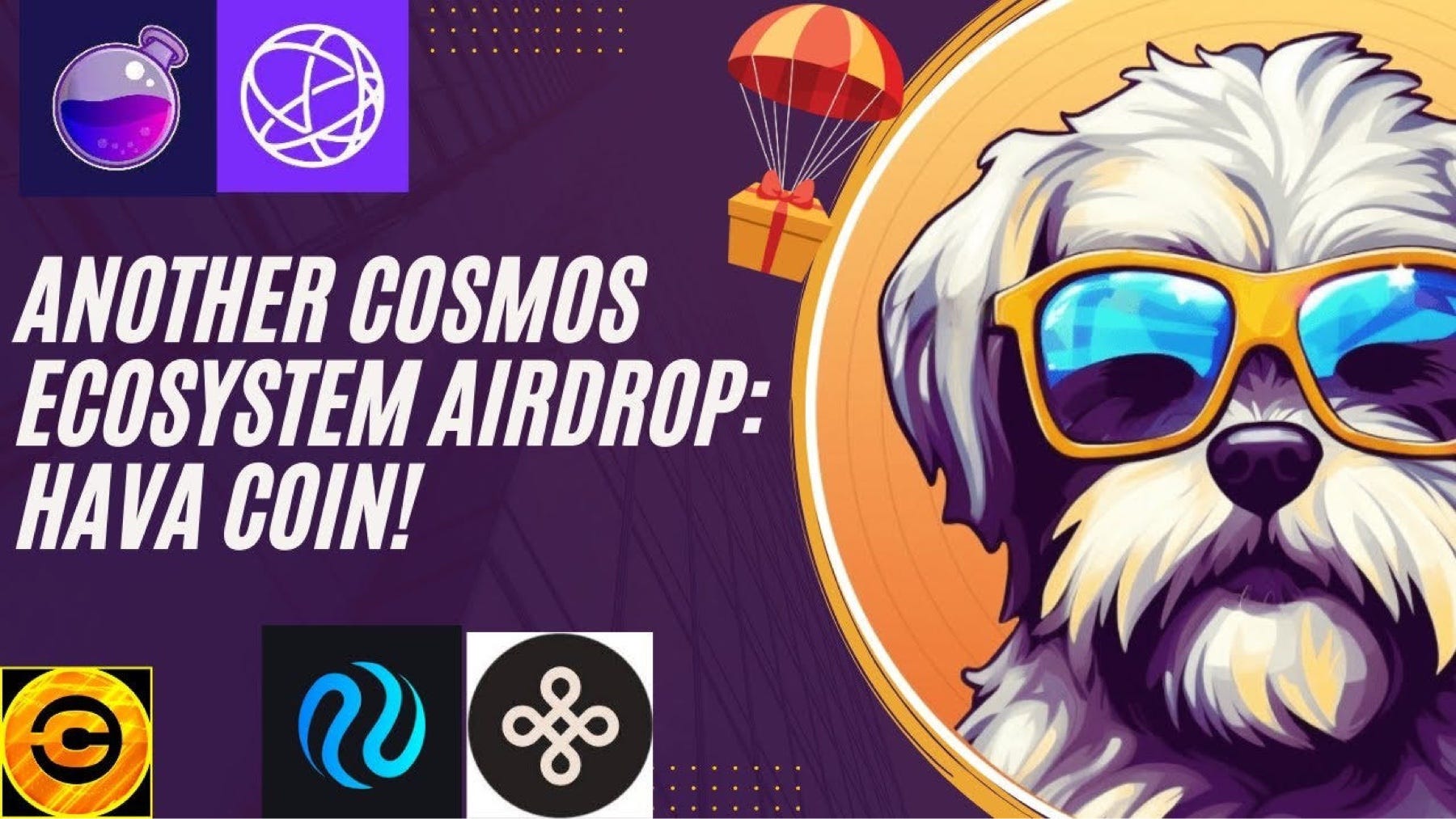 Hava Coin: Exploring the Meme Coin on the Cosmos Ecosystem | by JZeus 🕊️ |  Sofa Success Stories | Medium