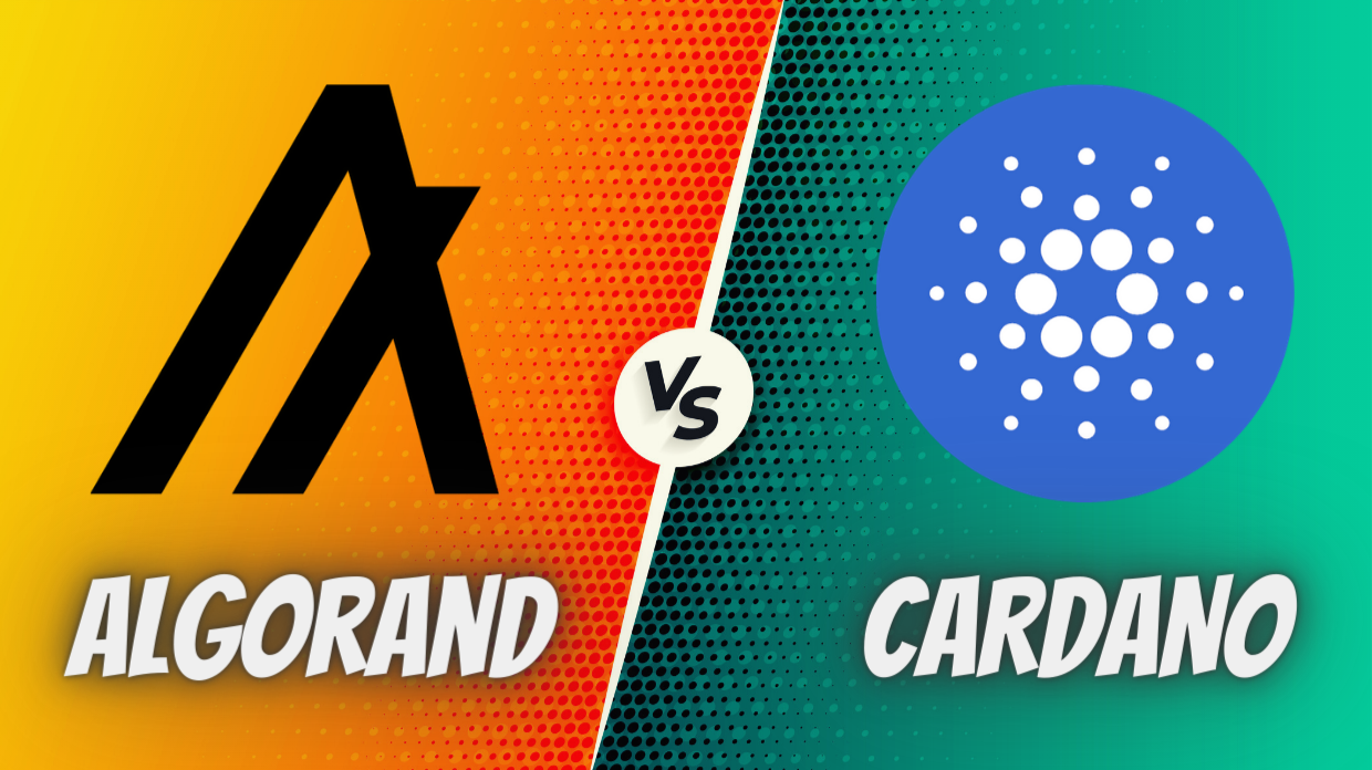 Algorand [ALGO] vs Cardano [ADA] — Difference, Partnerships & Ecosystem —  Which is Better? | by Vasilios Filip | Medium