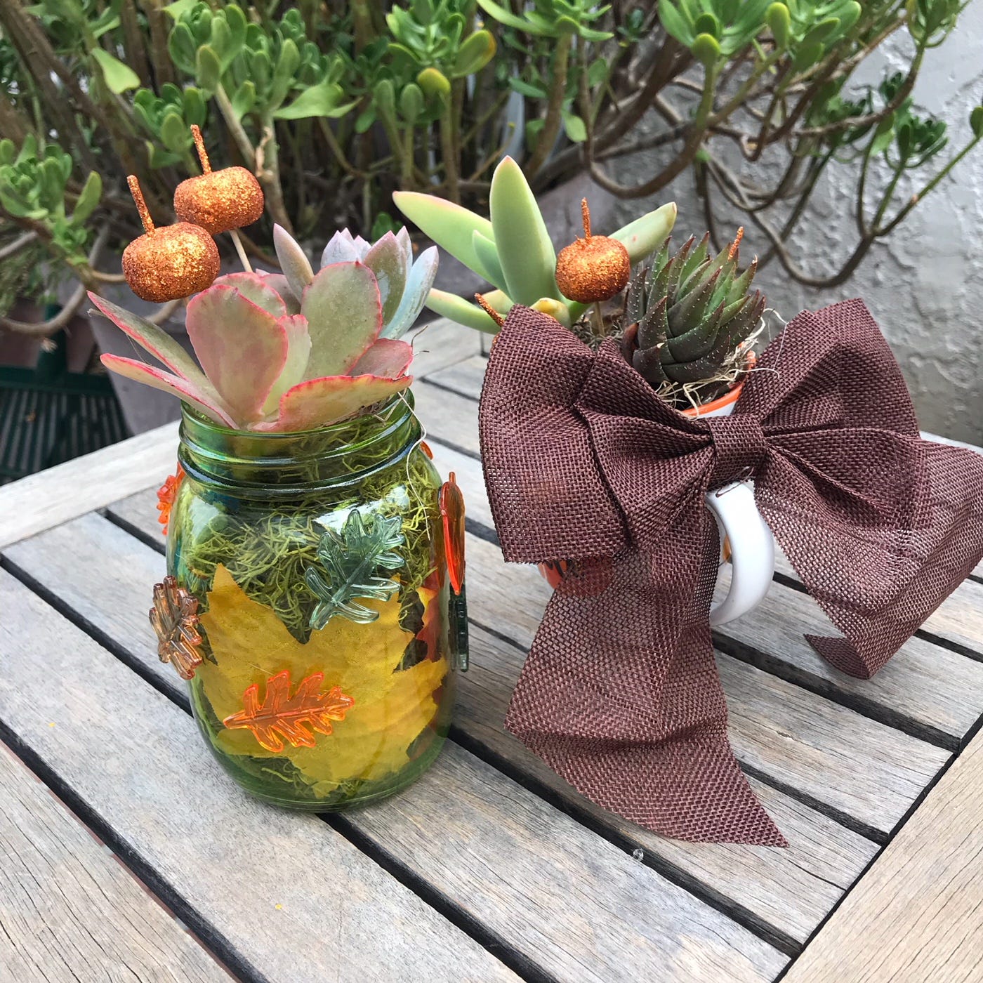 Fall/Thanksgiving Succulent Mason Jar DIY | by Succulent Studios | Medium