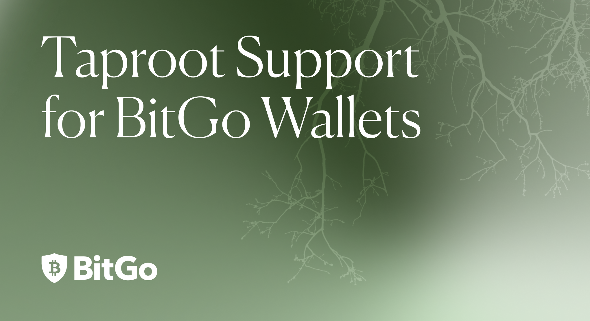 Taproot Support for BitGo Wallets | by Tyler Levine | Official BitGo Blog