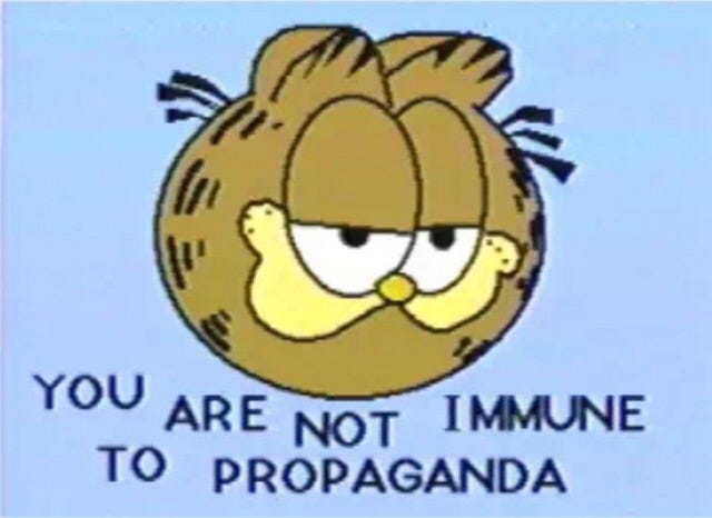 User Comment Image