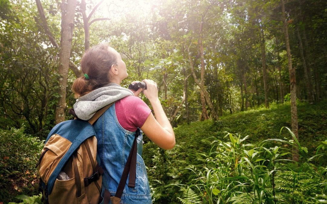 Eco-Tourism