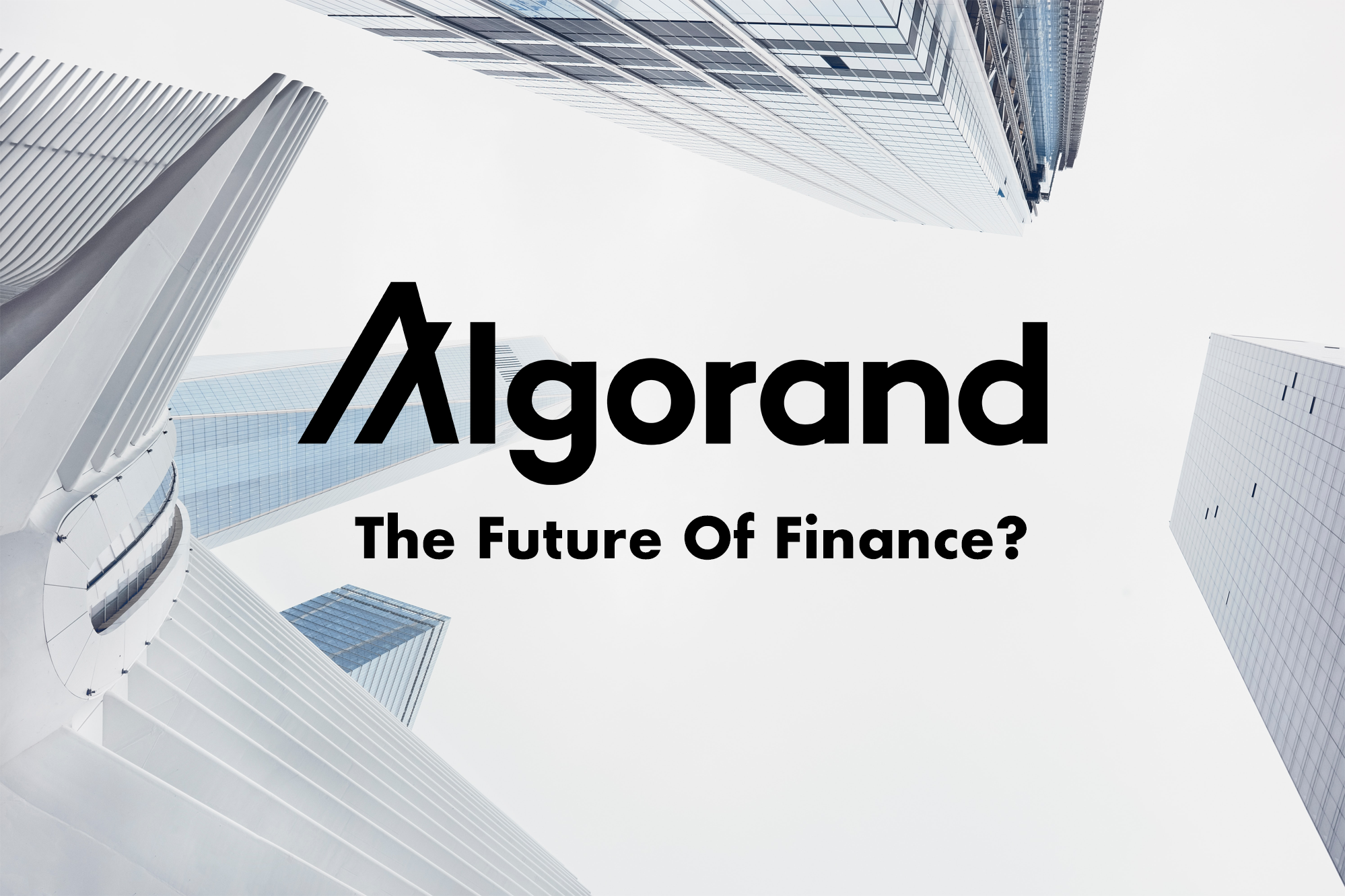 Algorand (ALGO): Welcome To The Future Of Finance? | by Maximilian Perkmann  | Coinmonks | Medium