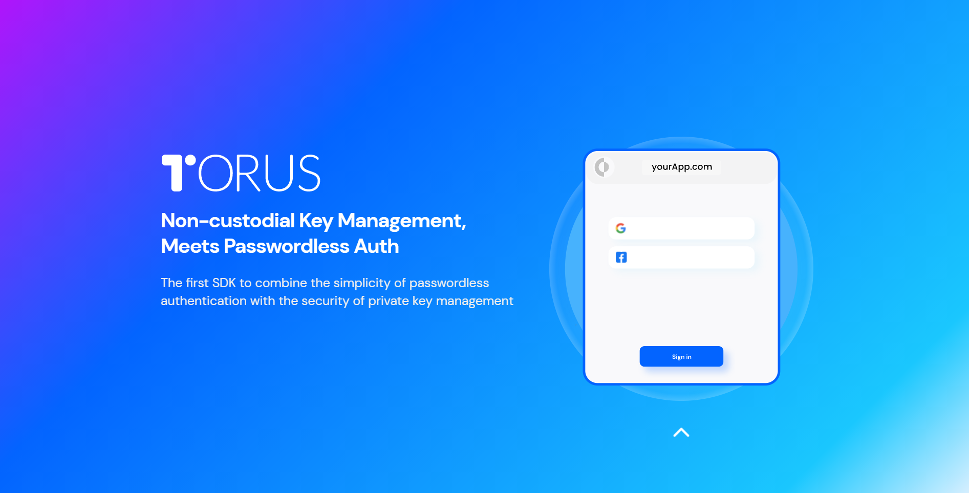 [Investment] Torus: Gateway to Frictionless Login & Authentication on Web3  Applications | by Terabyte Capital | Medium