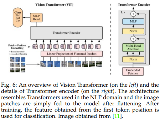 Vision Transformer. image source: here
