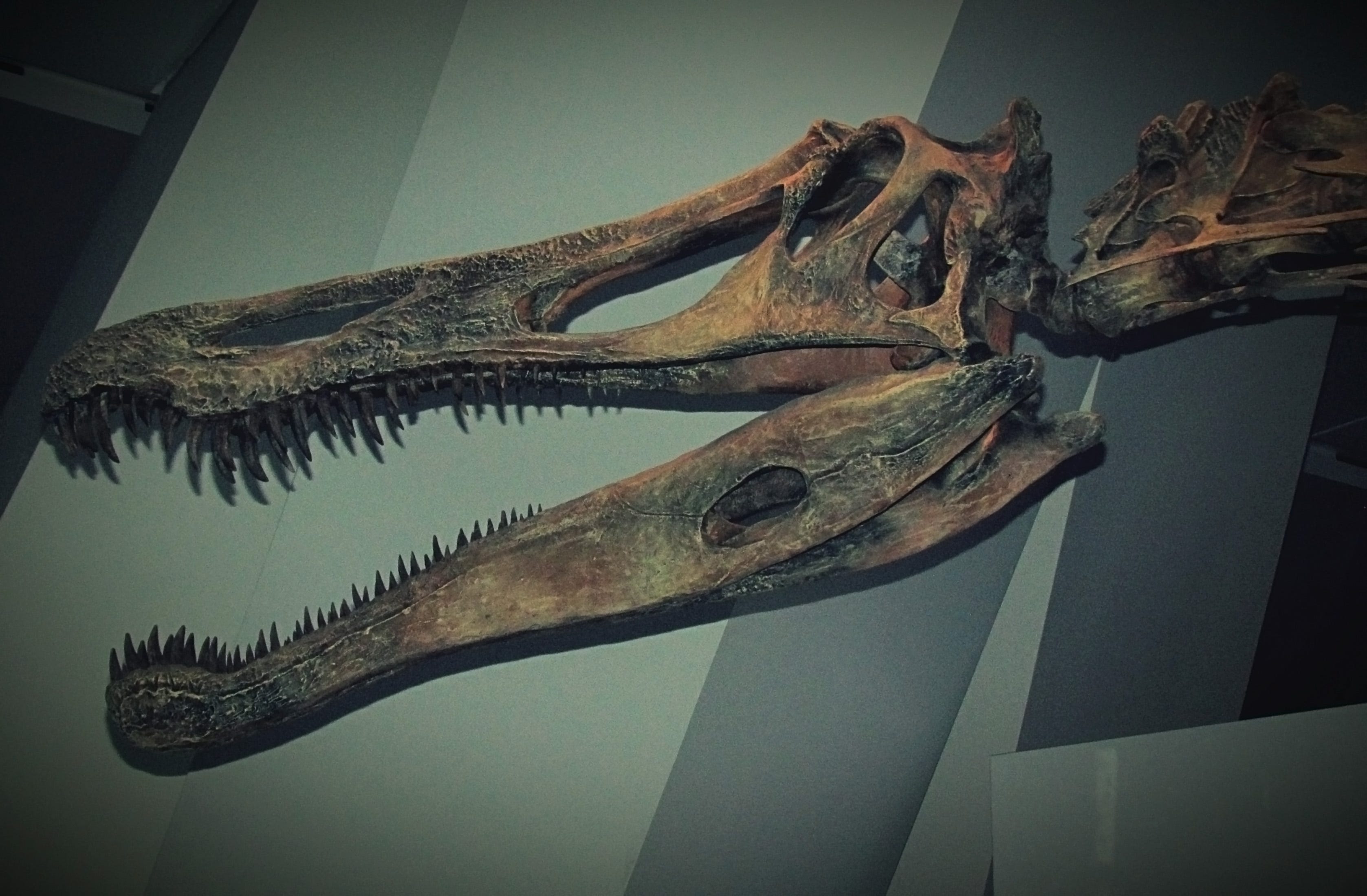 Spinosaurus ( 155?Pcs ) Spinosaurus ( 155?Pcs )