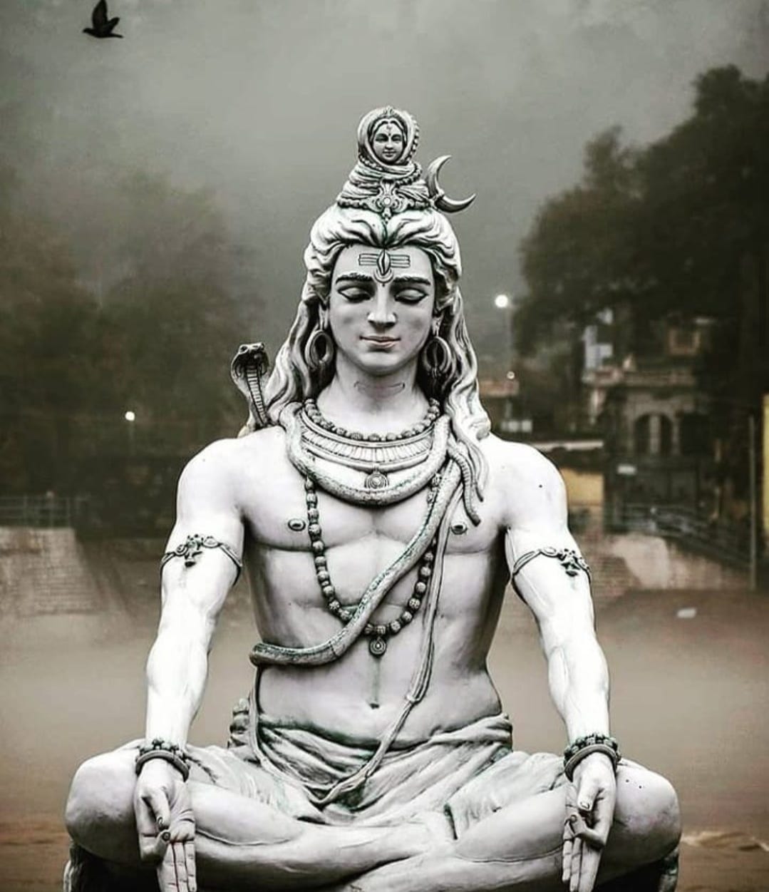 The real meaning of Shiv, Shankar and Shakti | by Acharya