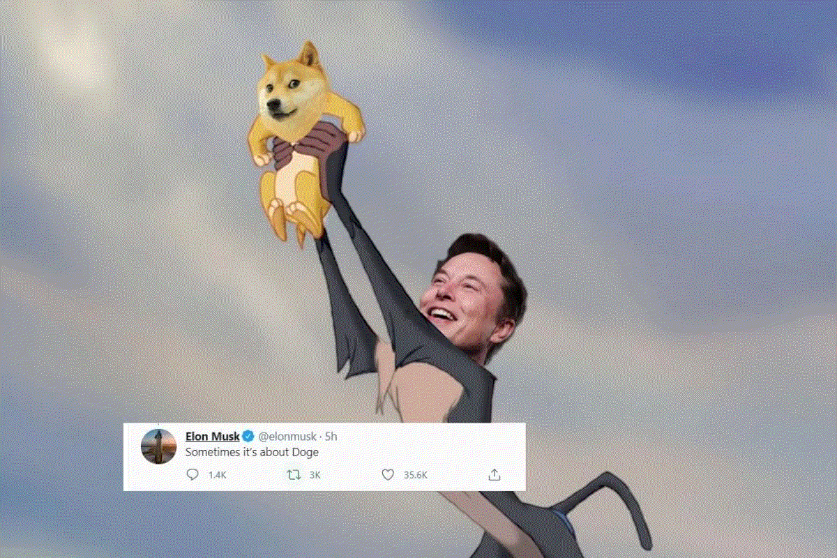 I am become meme elon musk gif (73) 사진