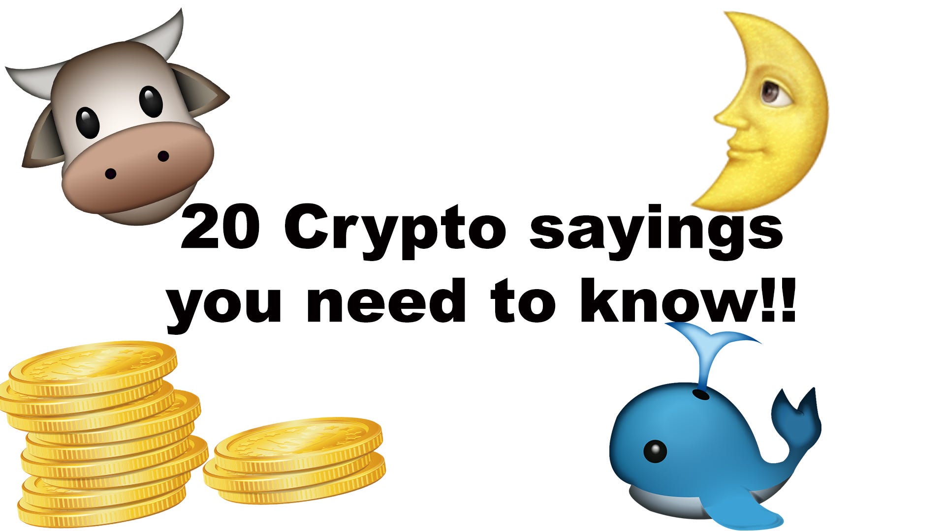 20 Crypto sayings all beginners should know!! | by Lachlan Samuel | Medium