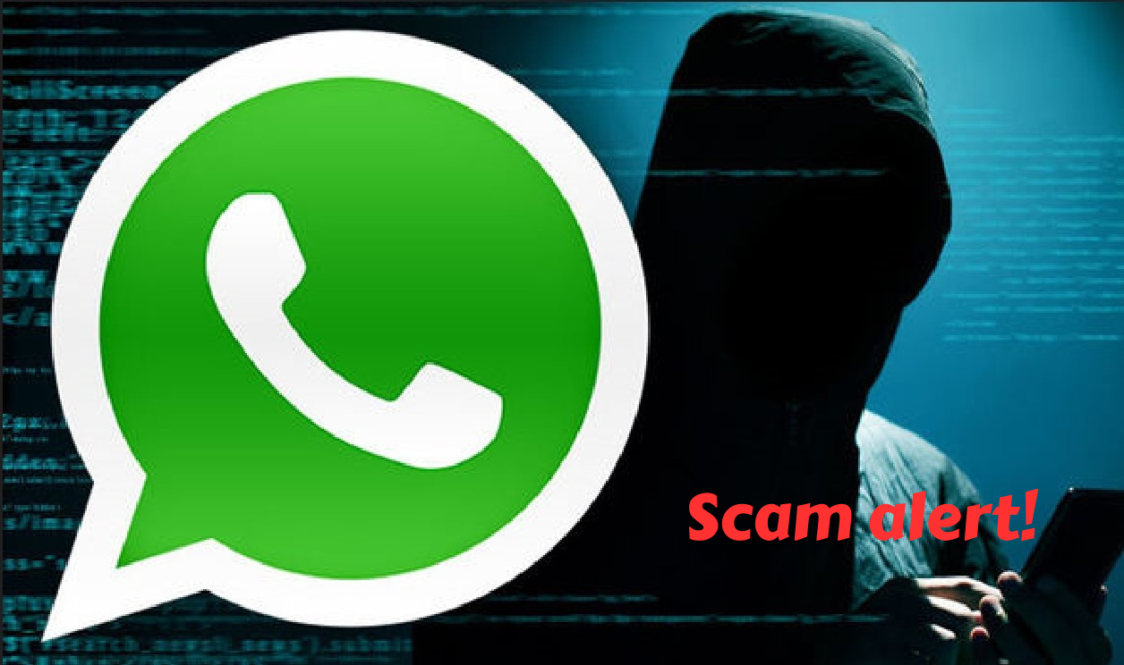 How WhatsApp Crypto Group Scams Work | Digital Currency Traders