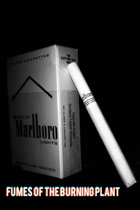 smoking cigarettes in a dream 3 Months of Quarantine, 3 Packs of Smoking Cigars to Burn | by Dominic Morales smoking cigarettes in a dream 3 Months of Quarantine, 3 Packs of Smoking Cigars to Burn | by Dominic Morales