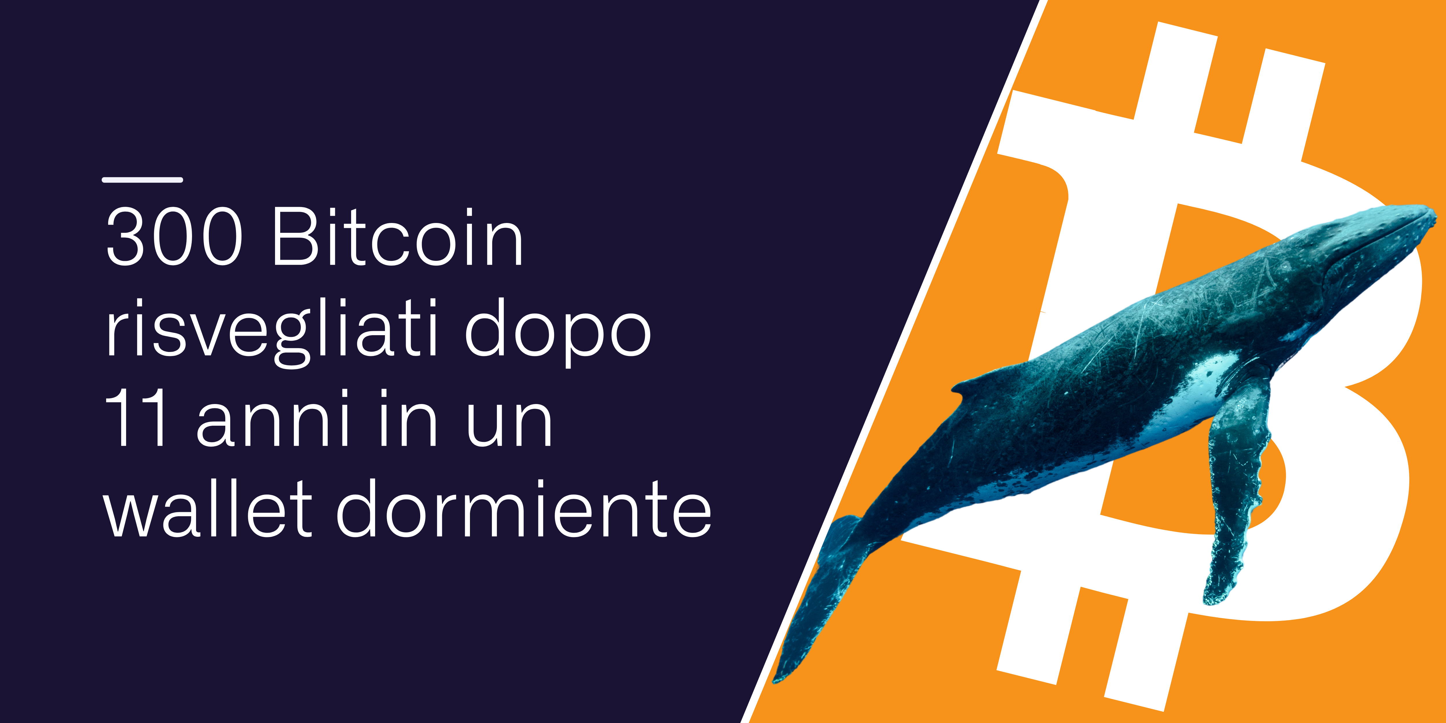 300 Bitcoin risvegliati dopo 11 anni in un wallet dormiente | by Conio Team  | Conio Blog