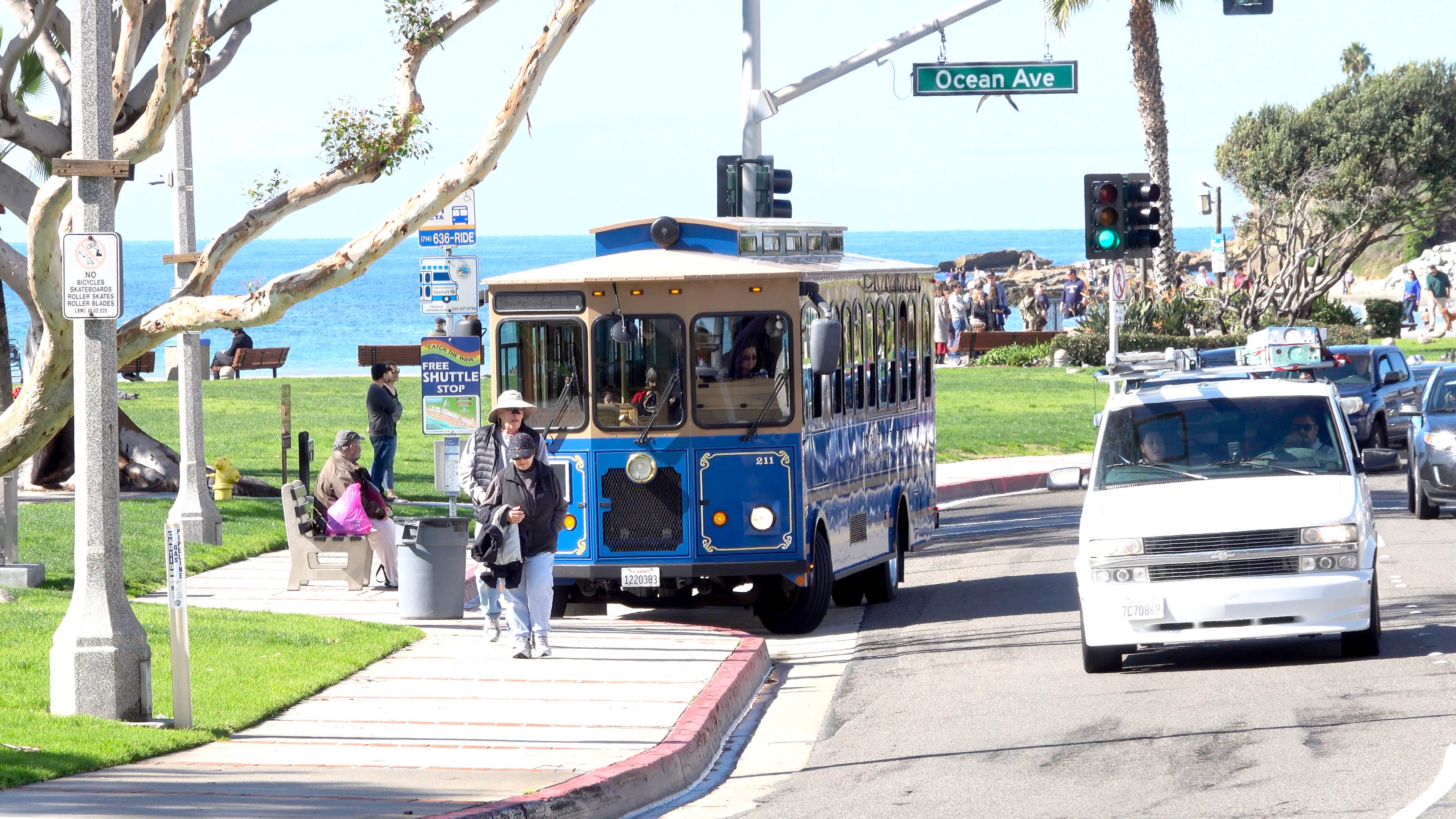 ボブ・ディラン Laguna Beach (2CD) mqdefault.jpg