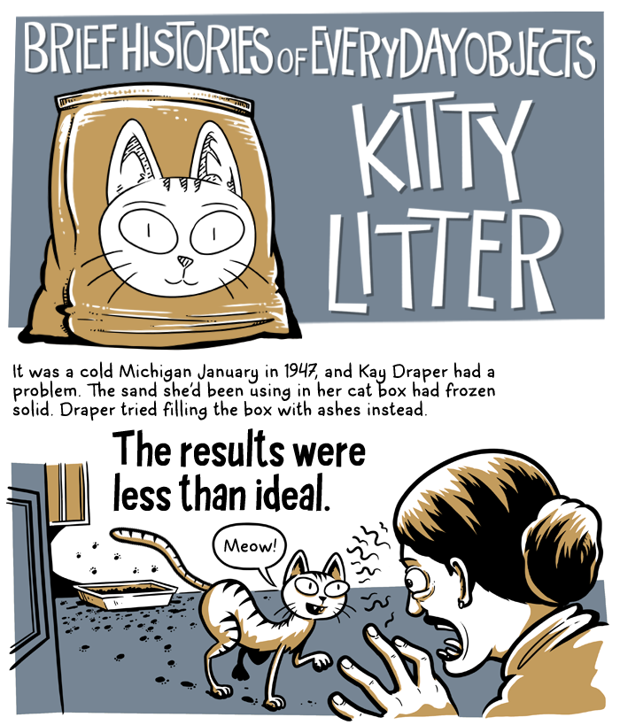 When was Cat Litter Invented: Surprising History Revealed