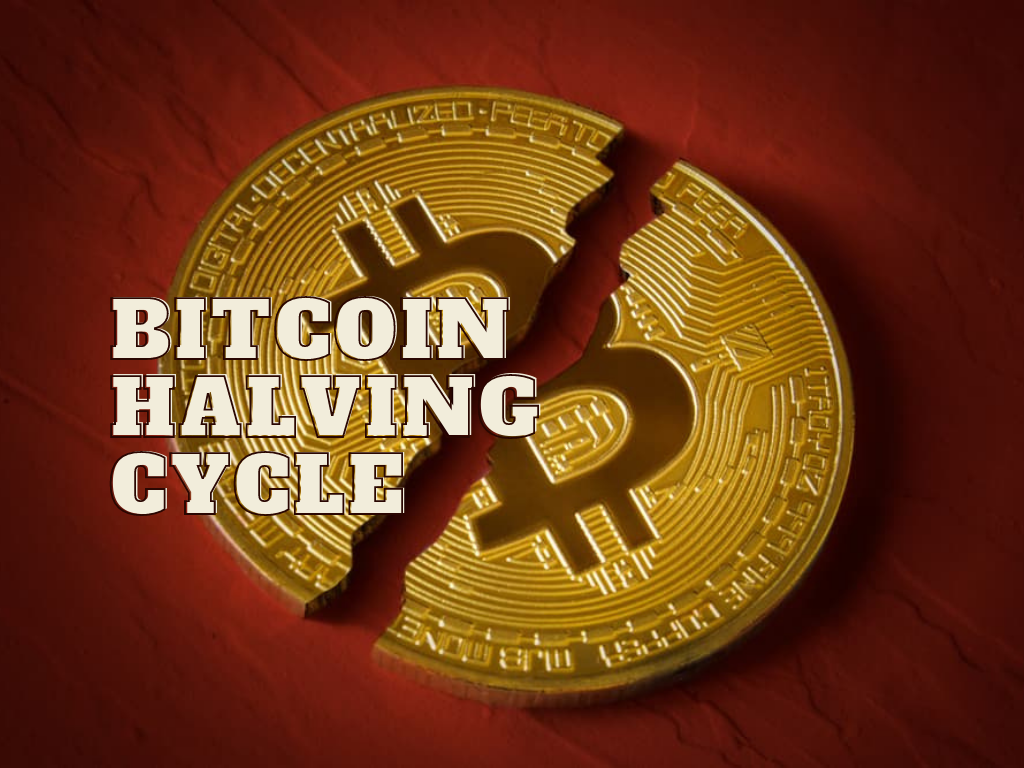 Bitcoin Halving Cycle — Making Millionaires every 4 years |  DataDrivenInvestor