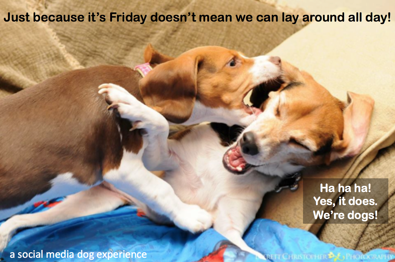 I Think I'll Just Be Happy Today – Wooden Arrow Designs, image size:1302x864