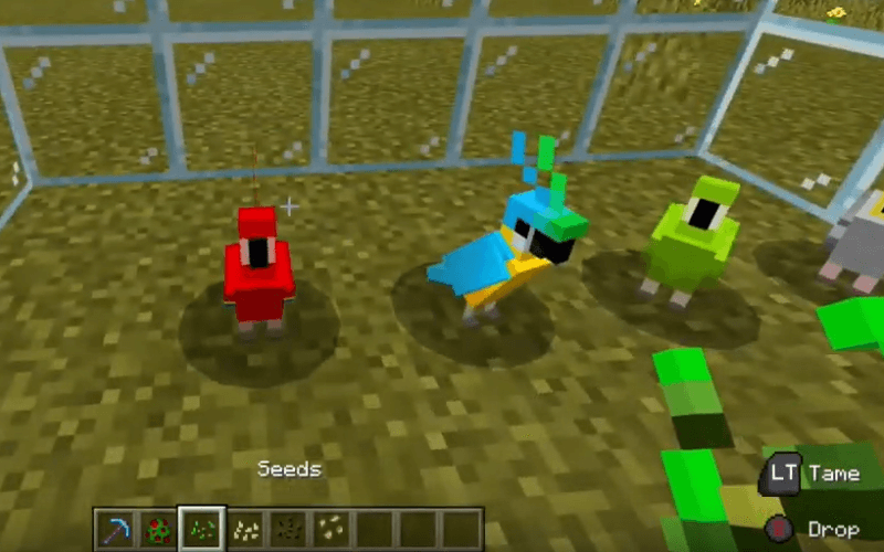 How to Get Bird to Perch on Shoulder Minecraft: Ultimate Guide