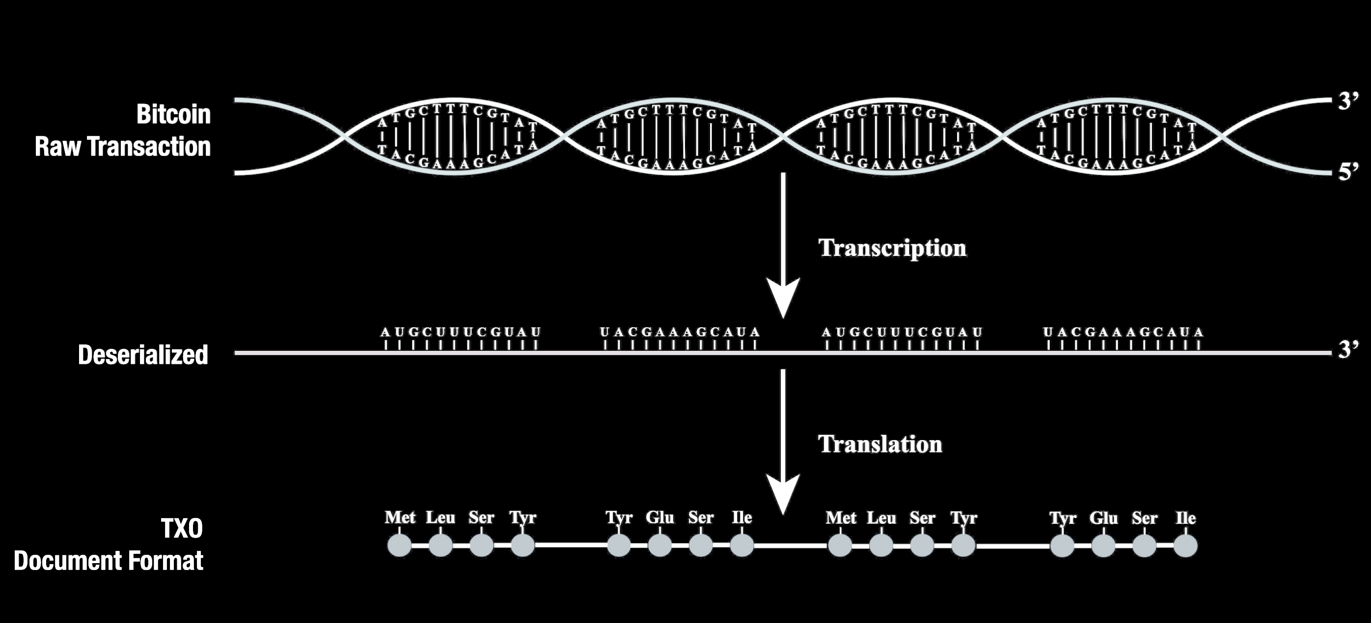 TXO 2.0. A New transaction data format for the… | by _unwriter | Medium