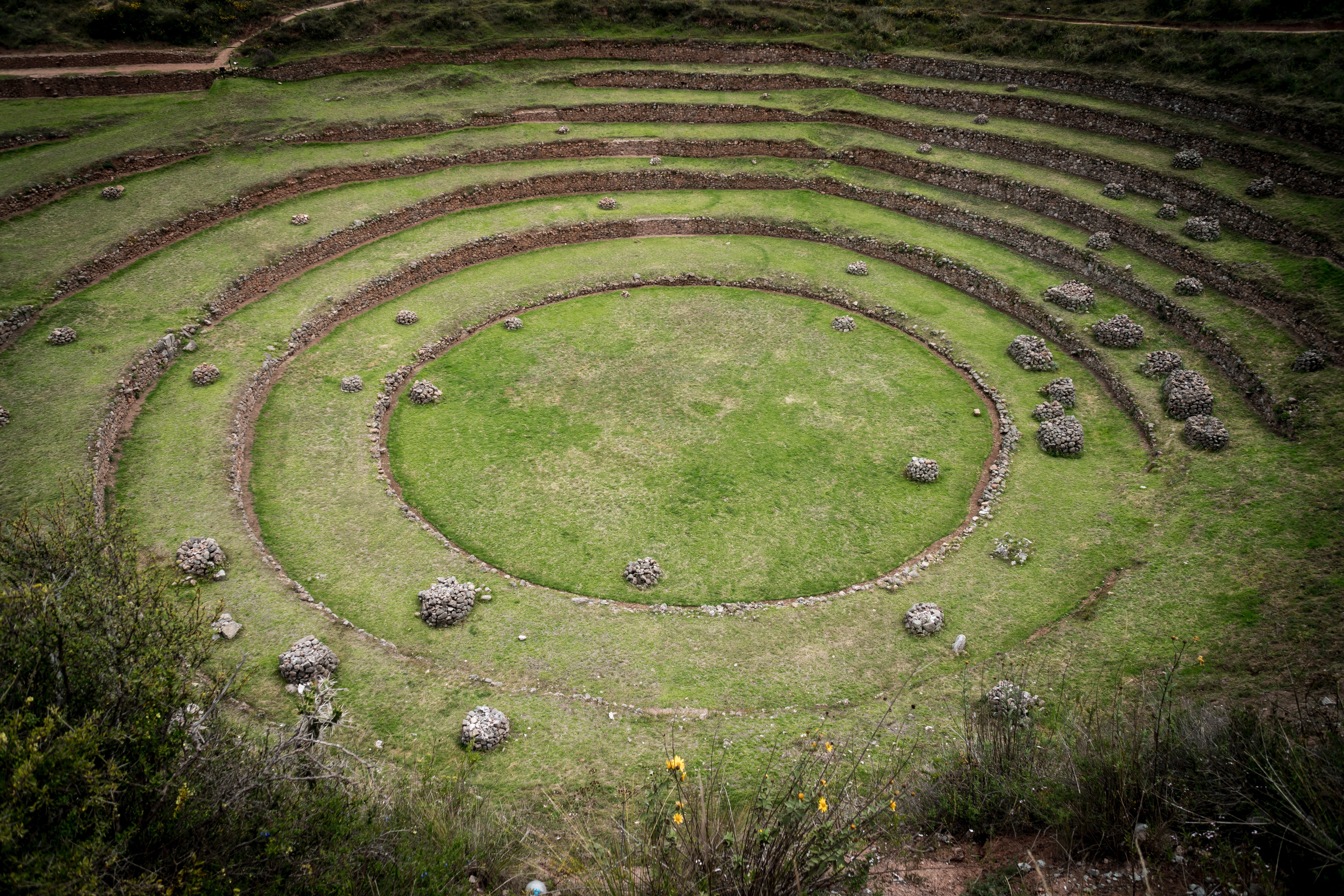 Setting the Tone, Virtually: Creating the Magic Circle Online (Feature)
