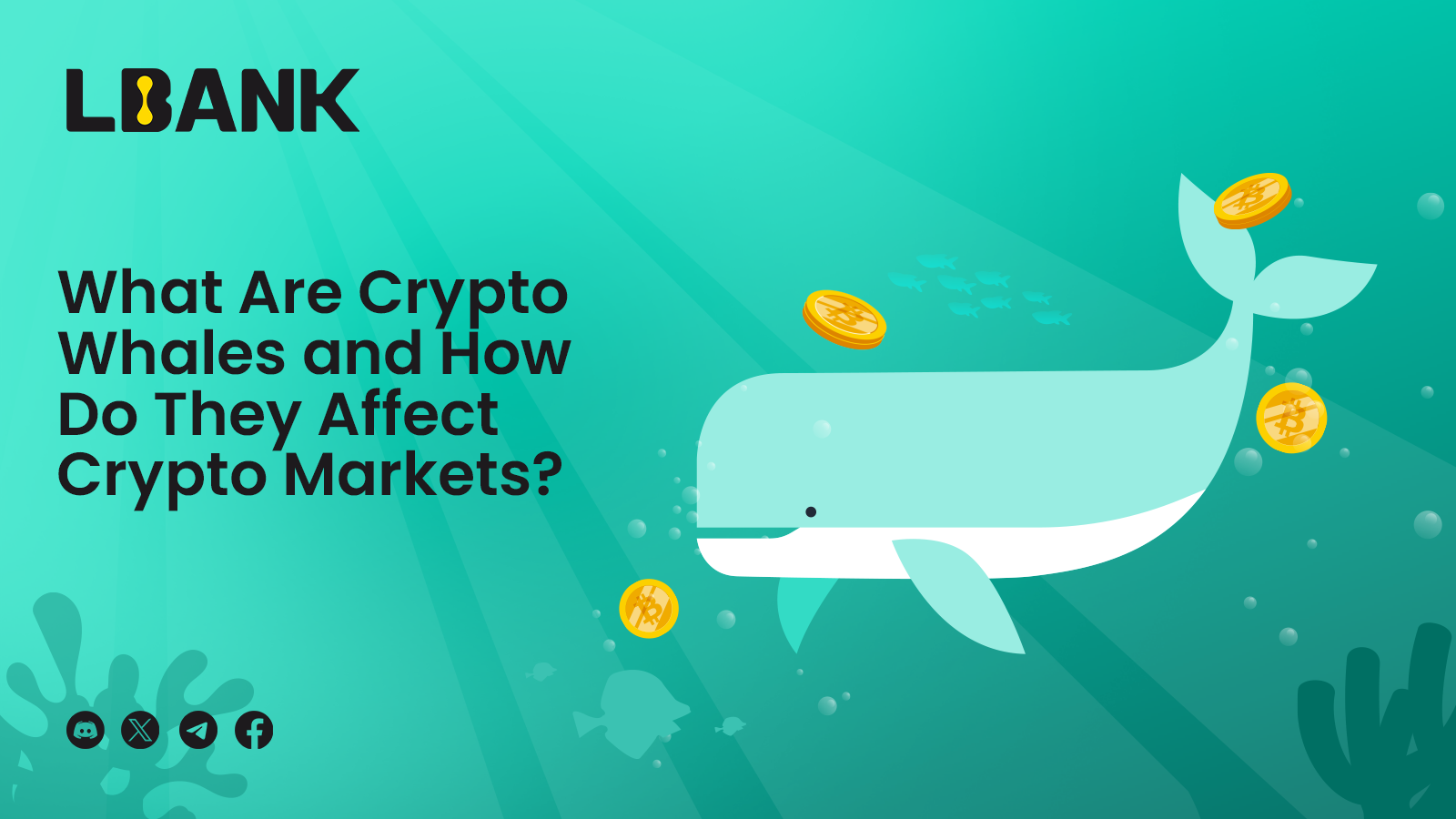 What Are Crypto Whales and How Do They Affect Crypto Markets? | by LBank  Exchange | Medium