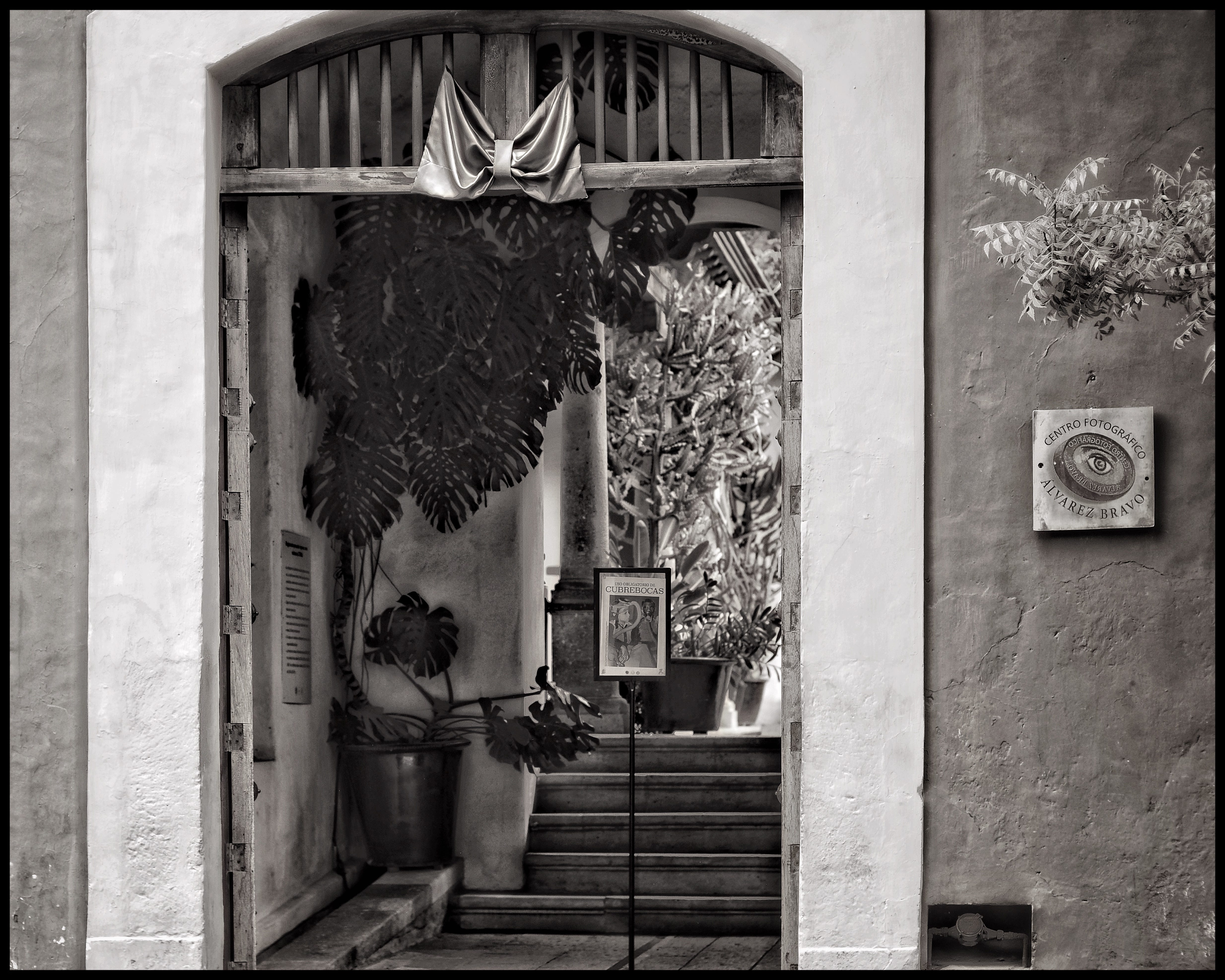 Manuel Alvarez Bravo In Oaxaca. Centro Fotografico Alvarez Bravo
