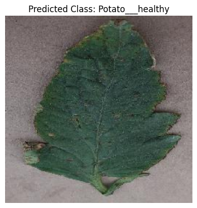 Detecting Plant Diseases with MobileNetV2 and the PlantVillage Dataset: A  Deep Learning Journey | by Henry Chukwunwike Morgan-Dibie | Dev Genius